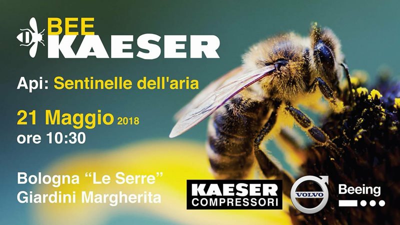 BeeKAESER sta tornando!